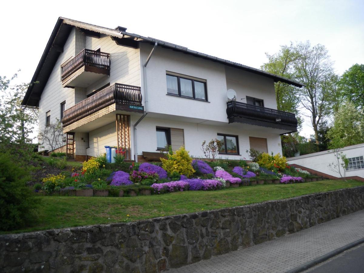 Pension Haus Ludwig 쇼텐 외부 사진