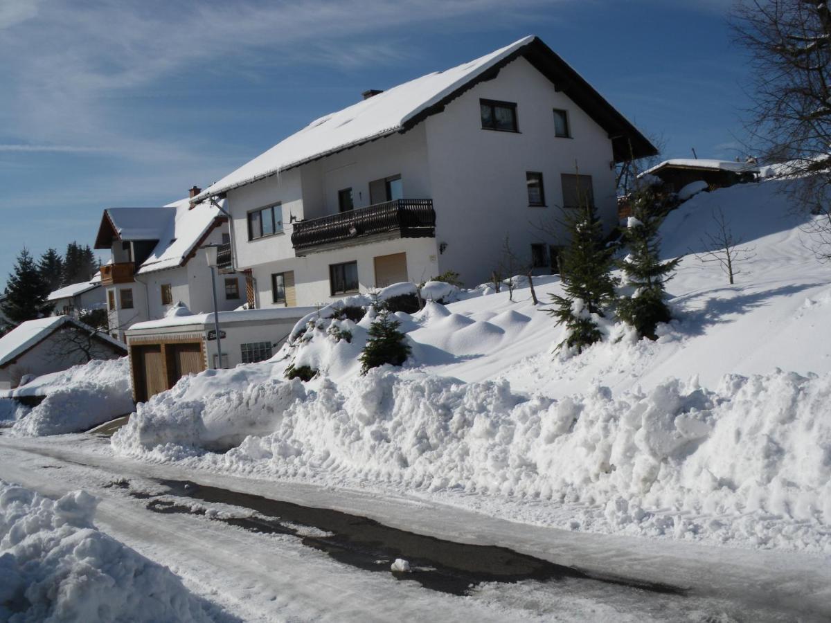 Pension Haus Ludwig 쇼텐 외부 사진