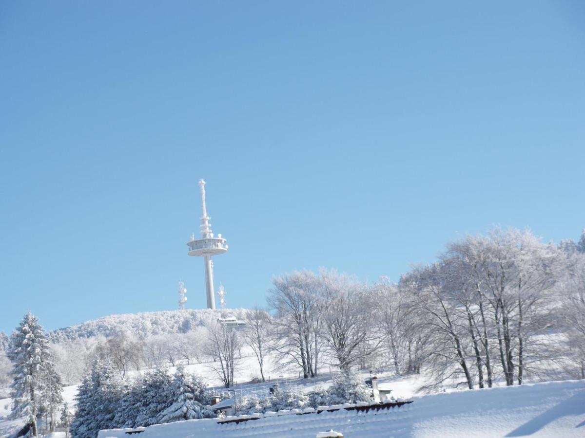 Pension Haus Ludwig 쇼텐 외부 사진