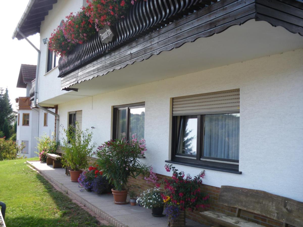 Pension Haus Ludwig 쇼텐 외부 사진