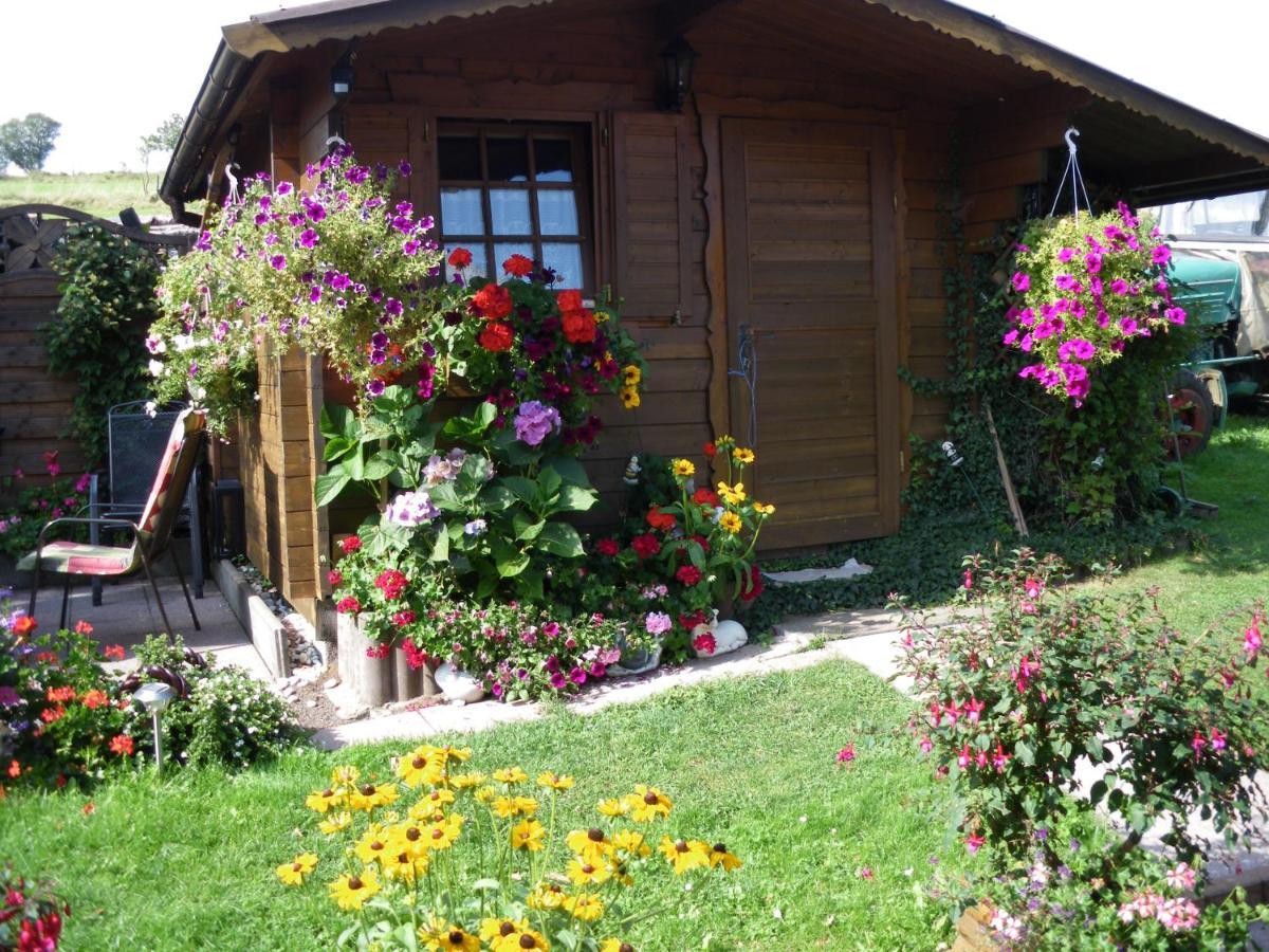 Pension Haus Ludwig 쇼텐 외부 사진